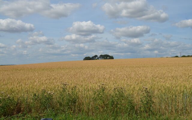 The Plough on the Hill Holiday Park