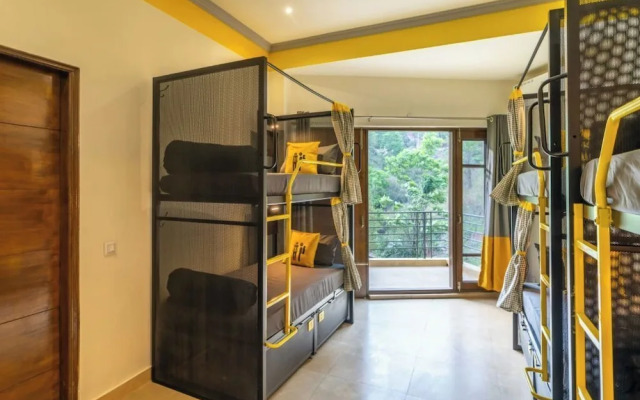 The Hosteller Kasauli
