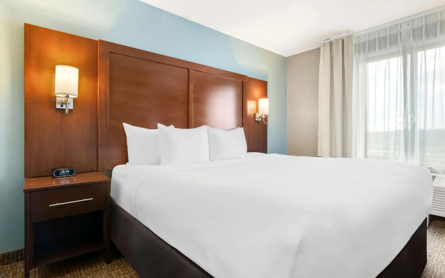 Comfort Suites Rensselaer near Fair Oaks