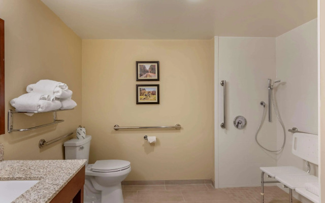 Comfort Inn Petersburg Fort Lee Area