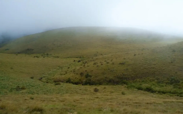 Capital O 404 Lagone Resort