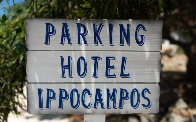 Ippocampos