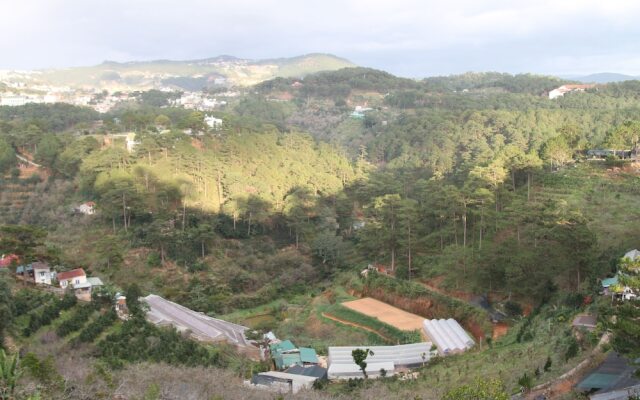 Misty Hill