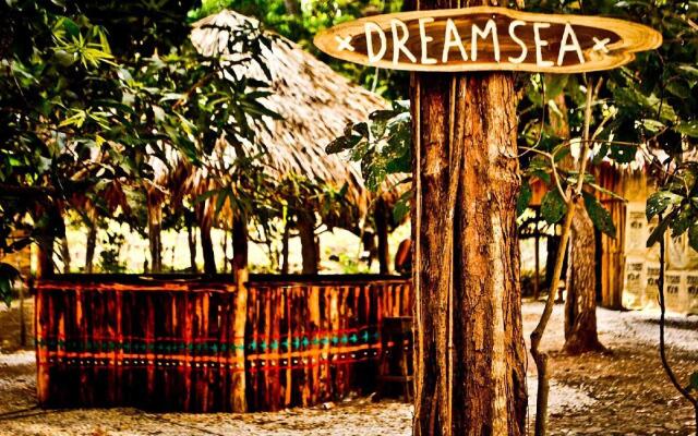 Dreamsea Surf Camp