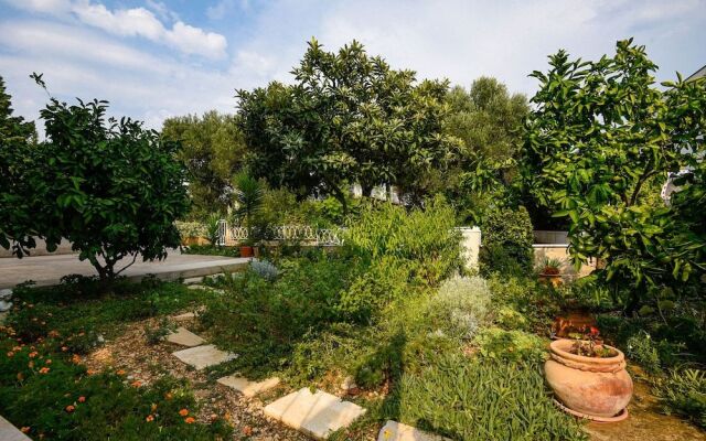 Apartments Trstenica