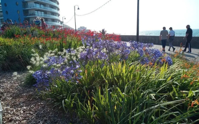 Westward HO Horizon View 30 2 Bedrooms