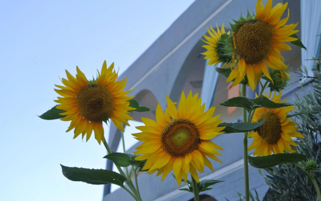 Village Drapanias Apartments