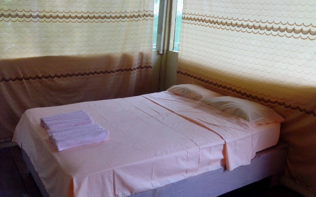 Amazon Queen Lodge