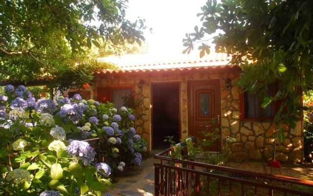 Alekas Studios