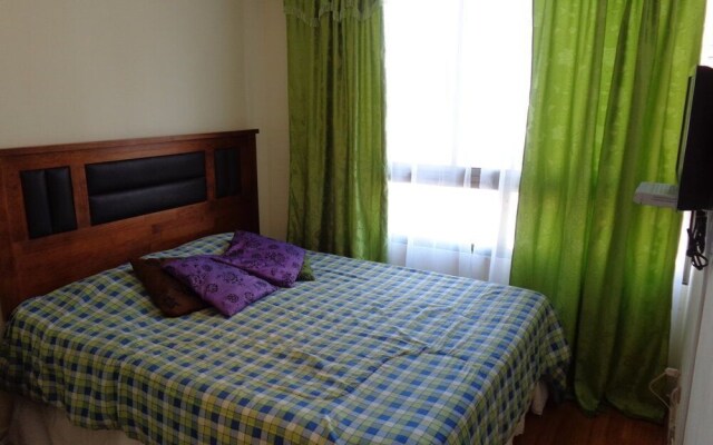 Departamento Vicuña Mackena