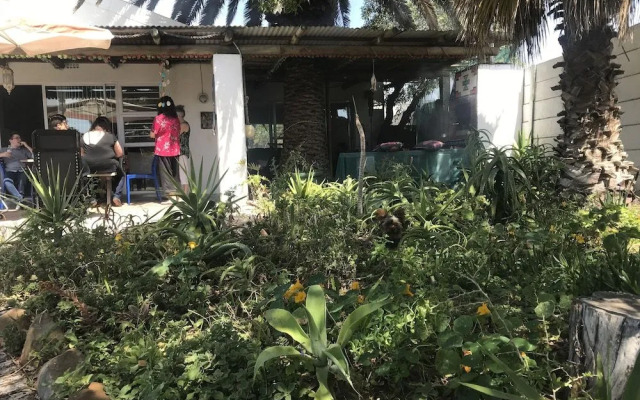 Melkbos Seagulls Lapa