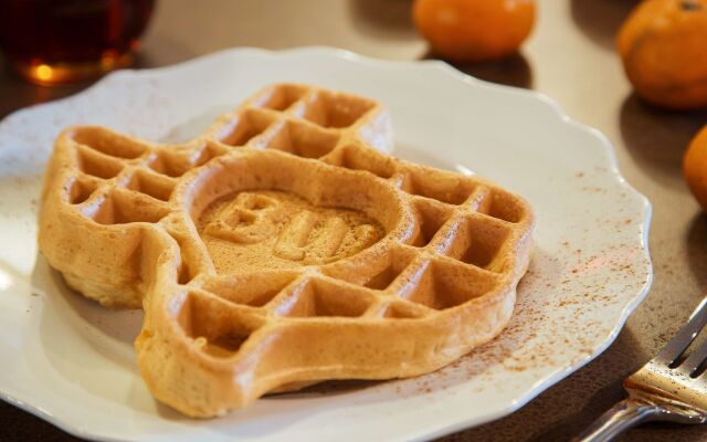 Best Western Canton Inn