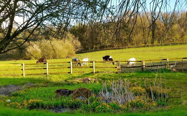 The Old Stables Bed & Breakfast