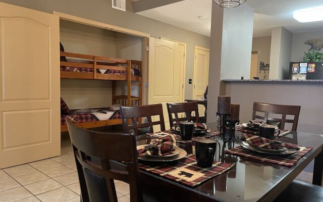 A Bear's Hibernation