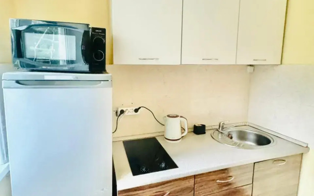 Apartment Apart Vl on Khabarovsk street 34