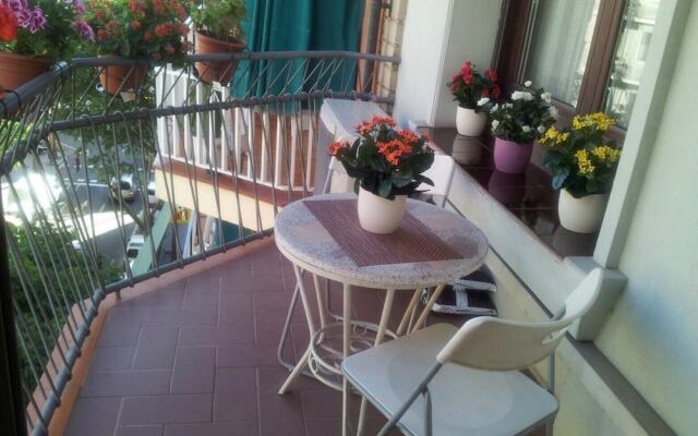 Sant Antoni - Marques