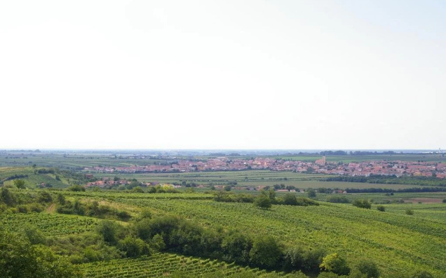 Vinařský penzion Přední Hora