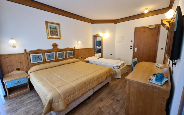 Alpen Hotel Panorama