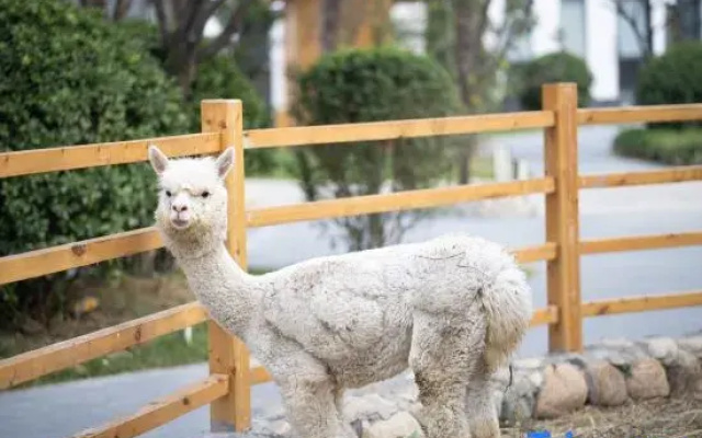 Xi'an DiJianNanShan Hot Spring Hotel (Wildlife Park)