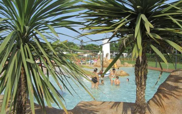 El Delfín Verde Platja d’Aro