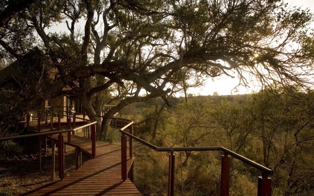 The River Lodge At Thornybush