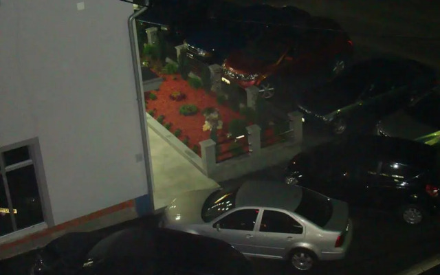 Apartments Singidunum 4 Lux