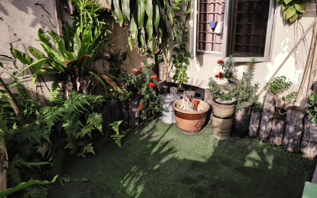 Rain Forest Hotel