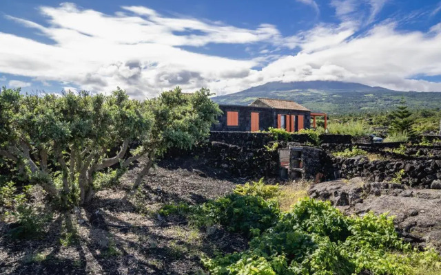 Paraíso do Triângulo