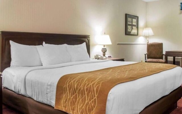 Canberra Premiere Comfort Hotel