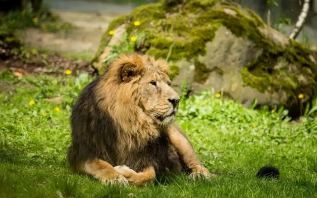 Ostravinka - Boutique Apartment