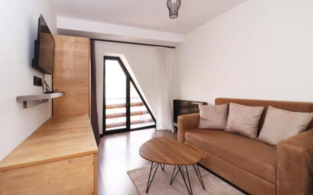Bright and Cozy 1BR Apartment In Marshall Gudauri Project