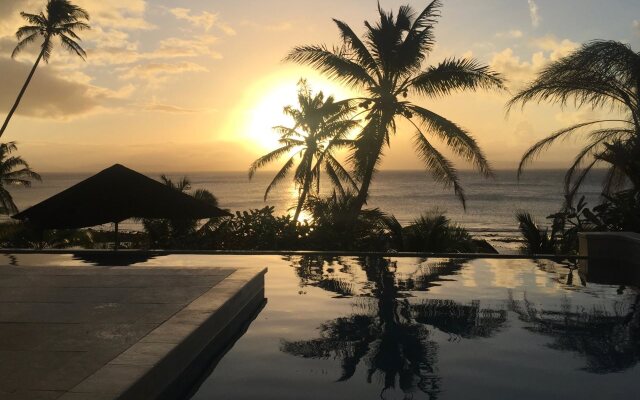 Taveuni Palms