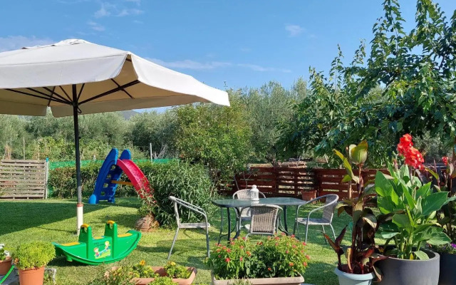 Agrikia tis Vasilikis