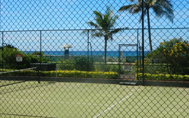 Princess Palm on the Beach