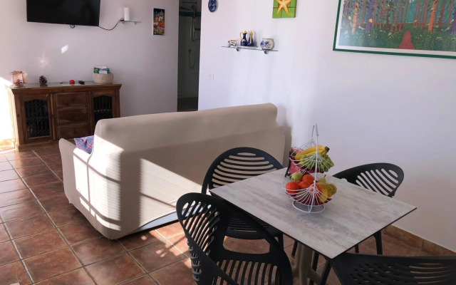 CASANTILVIA Turtle & Starfish