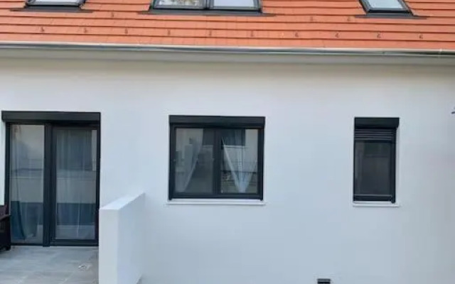 Sicomoro Casa