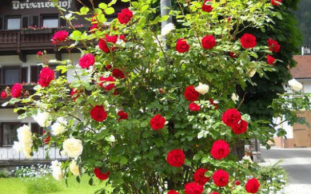 Ferien-Vitalhof Brixnerhof