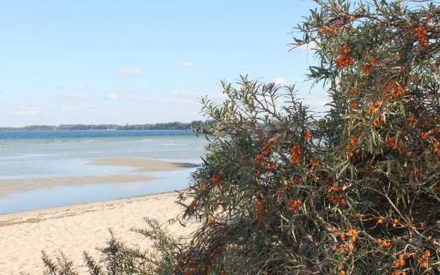 Apartment in Wohlenberg With Balcony, Garden, Bbq, Heating