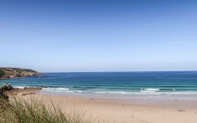 Les Hortensias (PGF100)