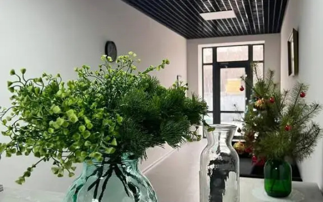 Готель Ridmas