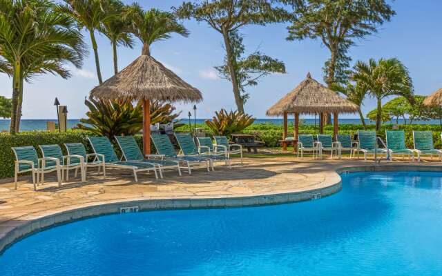 Aston Islander on the Beach