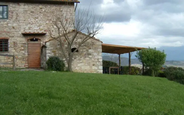 Masseto In Chianti