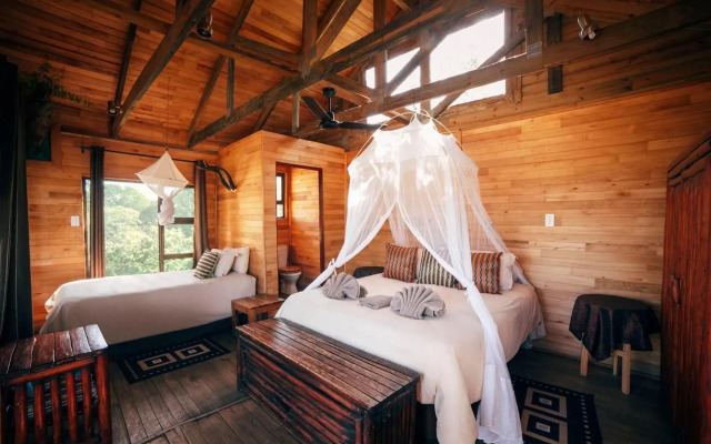 Pezulu Tree House Lodge