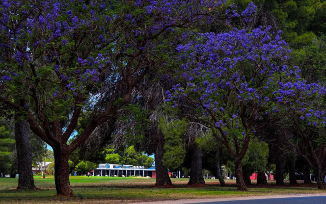 Renmark Resort
