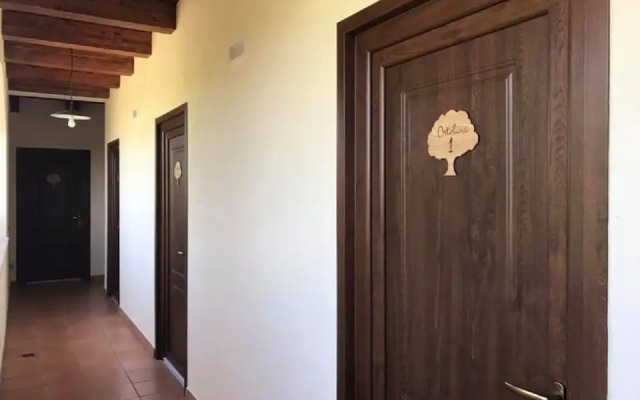 Agriturismo L'Ulivo