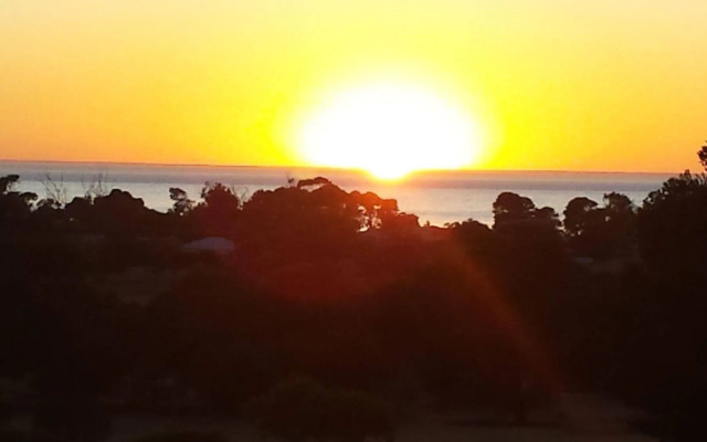 Oyster Court Apartments