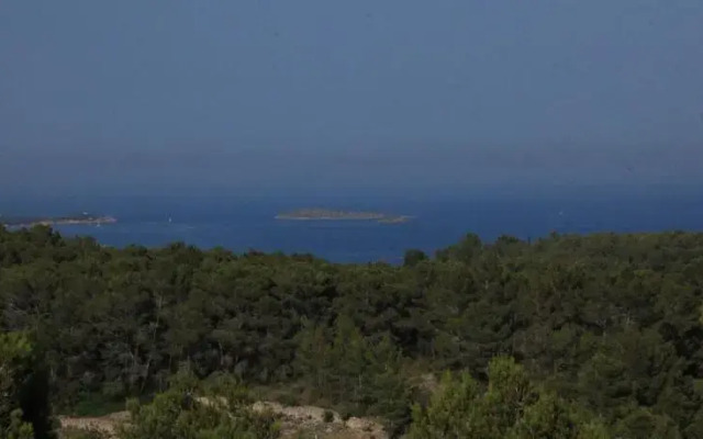 Villa Magnolia