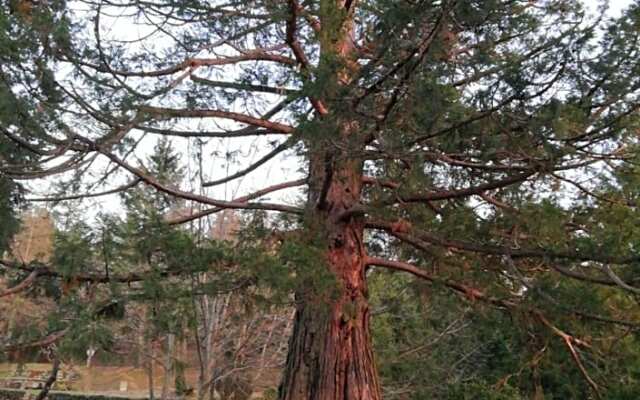 Les Granges de La Coste