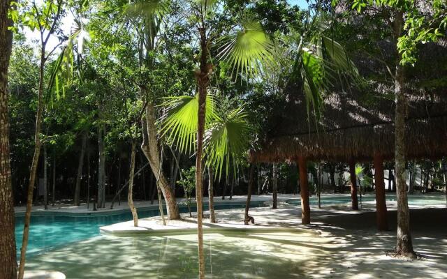 Tropical Paradise Apartment