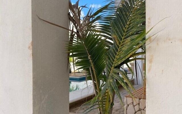 Torres Del Sol Ciricote